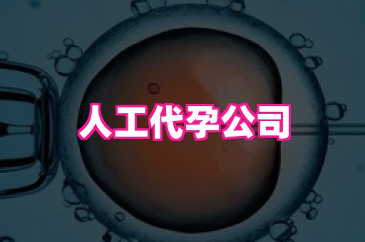 权威助孕网 1