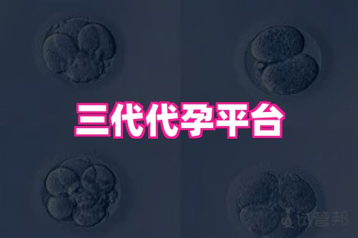 权威助孕网 3