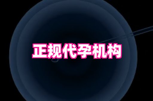 权威助孕网 4